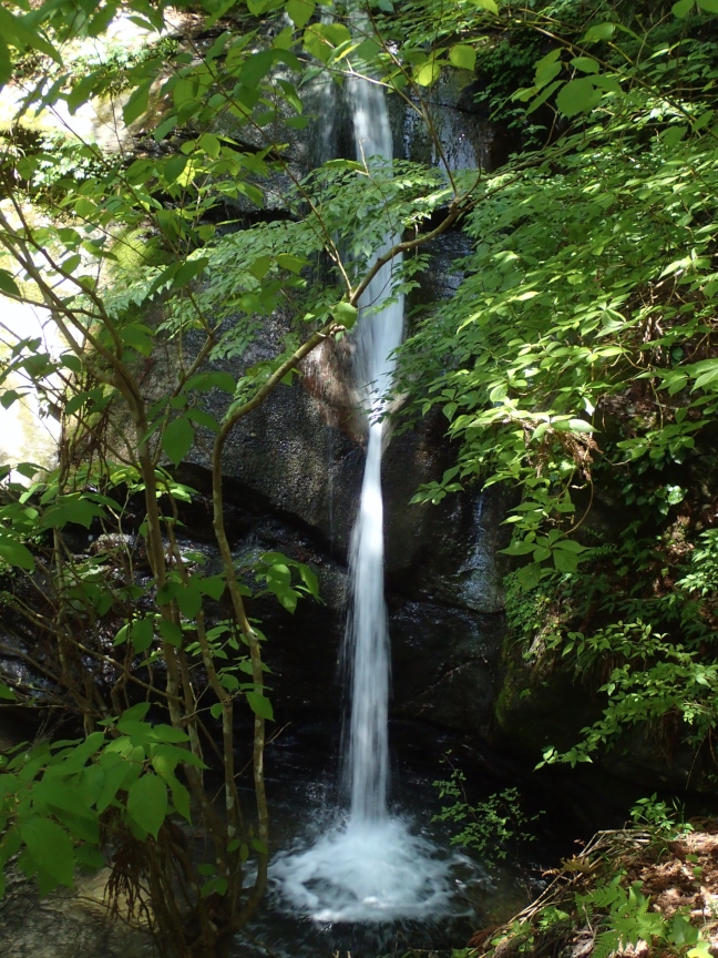 f0221510_12395766.jpg