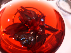 f0000211_13234824.jpg