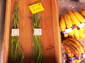 f0000211_132703.jpg