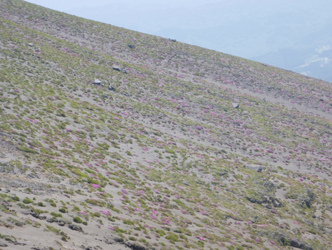 d0170615_11121115.jpg