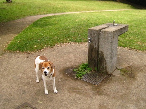 c0084117_1081120.jpg