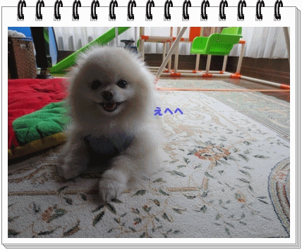 b0167519_23242122.gif