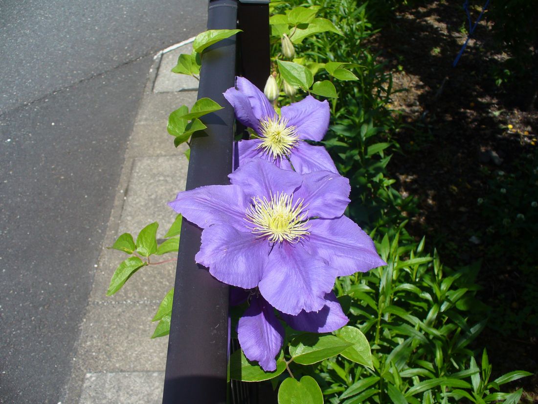 f0346527_22275922.jpg