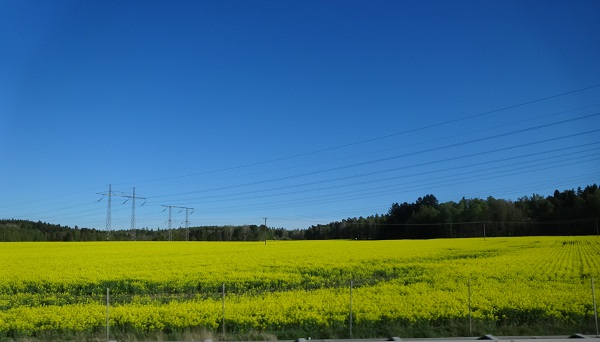 a0024829_7552098.jpg