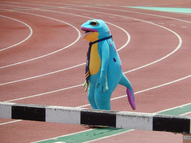 b0000829_1271746.jpg