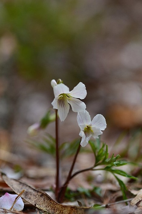 b0236334_20333450.jpg
