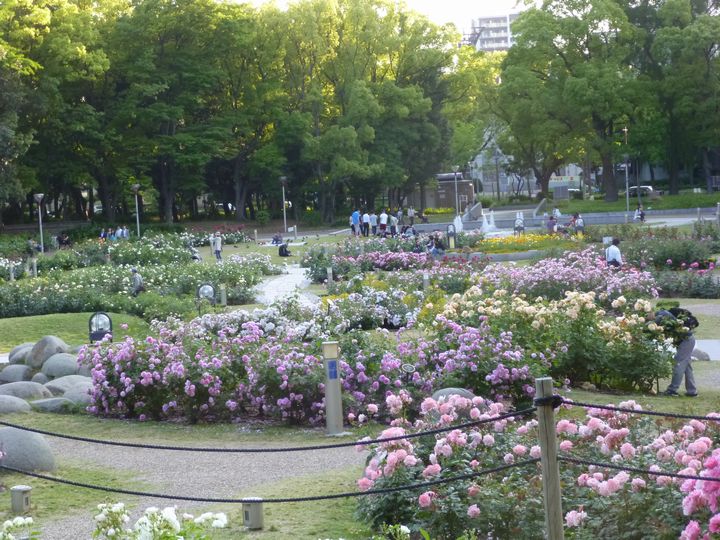 e0061437_19073886.jpg