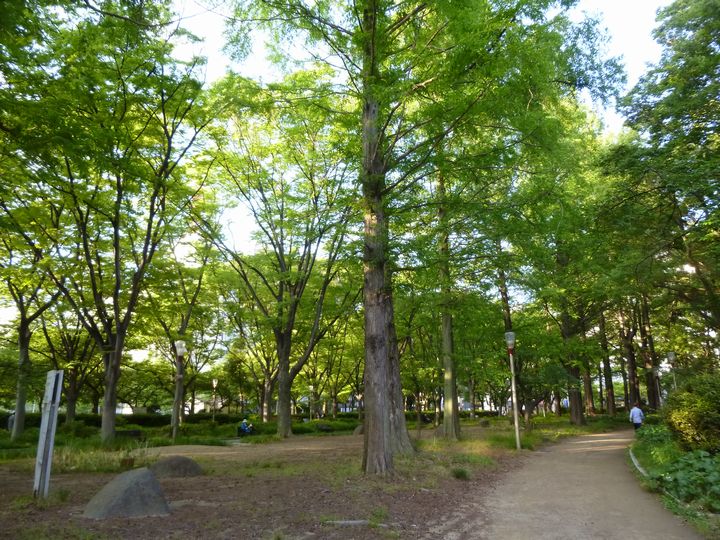e0061437_19082867.jpg