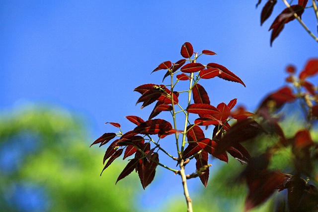 a0242438_2011518.jpg