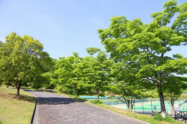 a0242438_201320.jpg