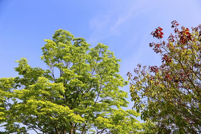 a0242438_201850.jpg