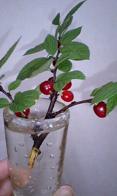 f0210439_2127397.jpg