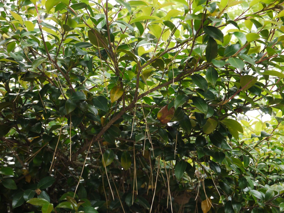 d0089742_23514363.jpg