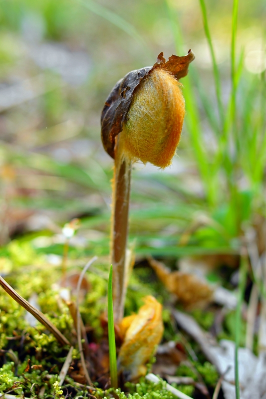 e0229455_17411490.jpg