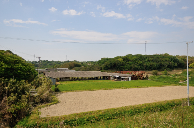 e0157760_20152747.jpg