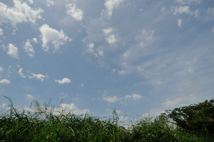 e0157760_20162523.jpg