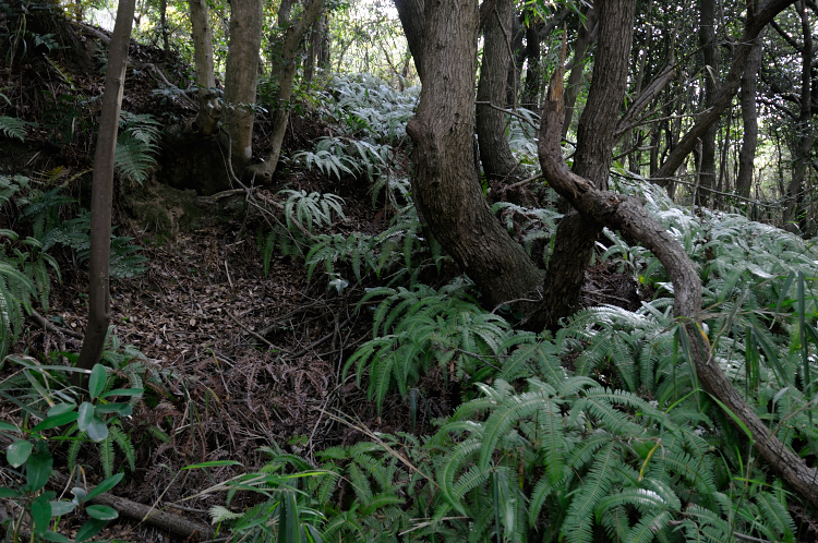 e0157760_20212447.jpg