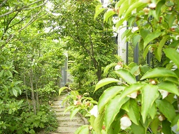 a0055866_061990.jpg