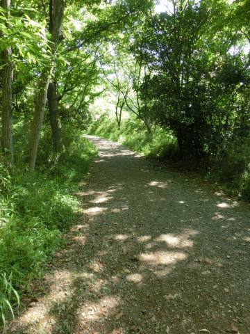 e0045768_22164354.jpg