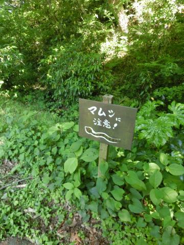 e0045768_22225987.jpg