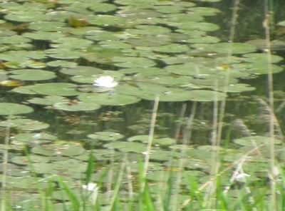 b0149071_15445634.jpg