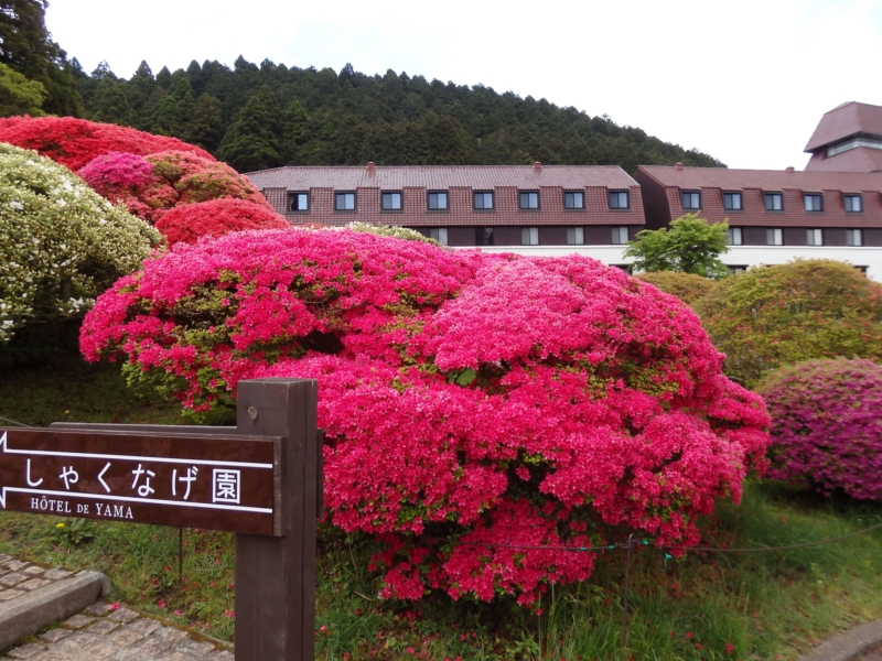 d0031171_746347.jpg