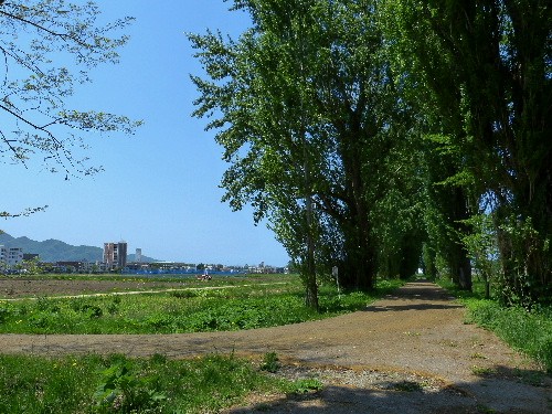 d0084473_2111878.jpg