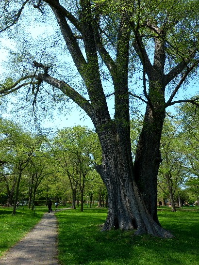 d0084473_2122251.jpg