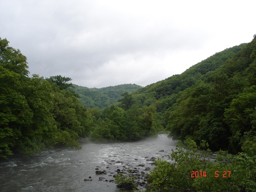 d0165378_9361053.jpg