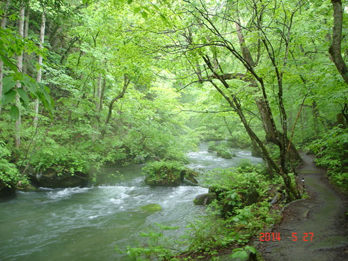 d0165378_9433447.jpg
