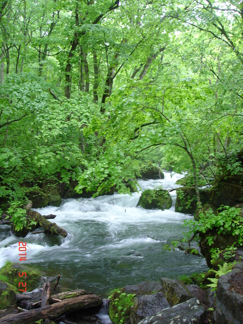 d0165378_9441540.jpg
