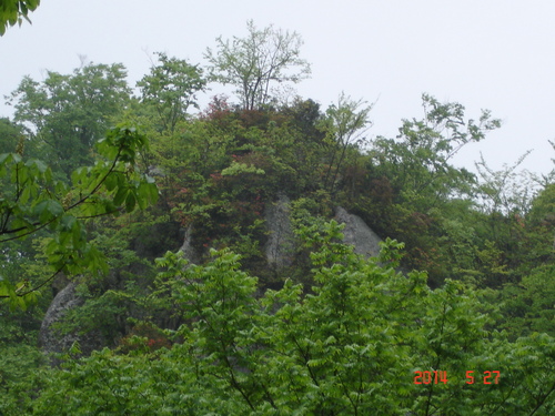 d0165378_9482858.jpg