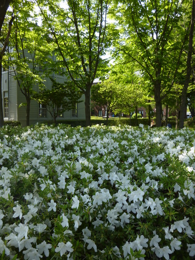 a0257385_1755450.jpg
