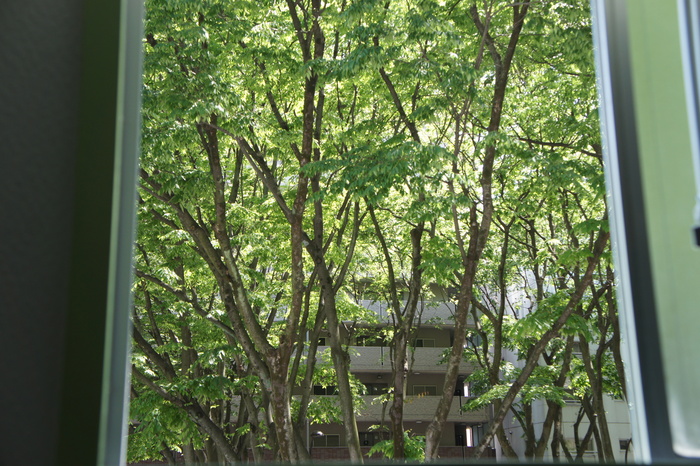 c0199401_15335774.jpg