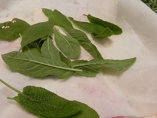 c0152002_19020935.jpg