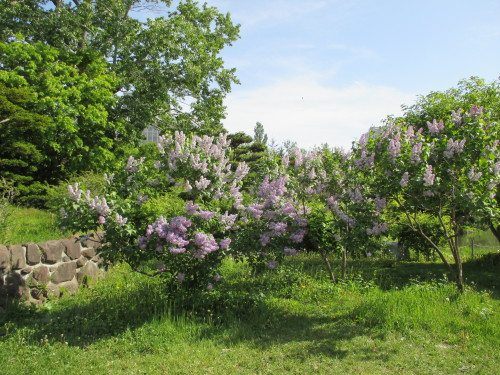 e0242504_22172417.jpg
