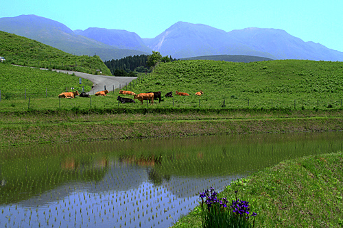 b0014607_20532080.jpg