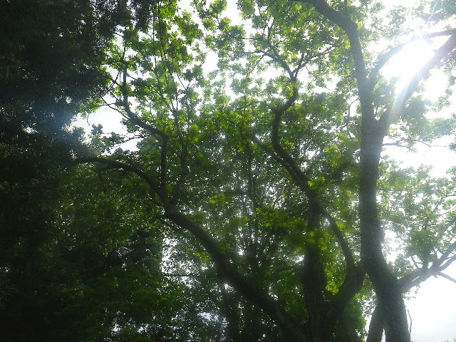 b0172209_08213142.jpg