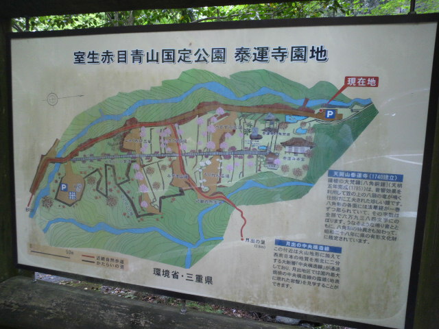 e0099212_2013202.jpg