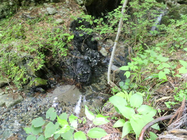 e0099212_20151241.jpg