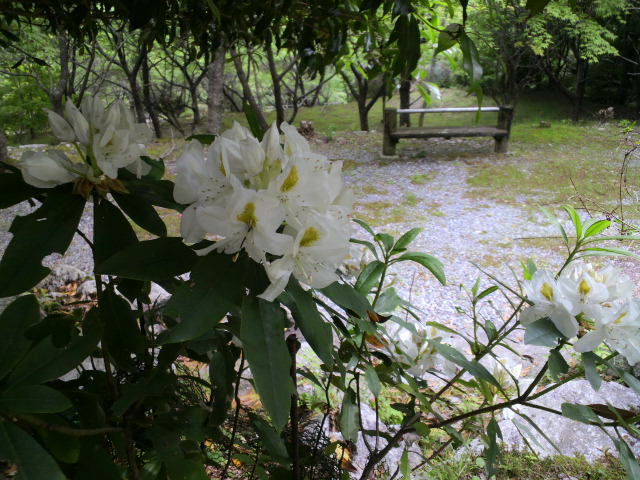 e0099212_20173824.jpg
