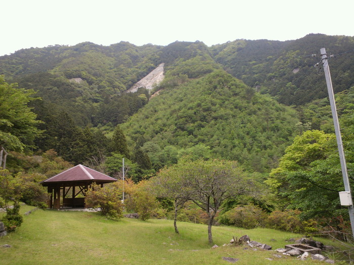 e0099212_2093546.jpg