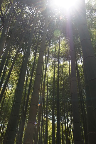 c0235725_20315148.jpg