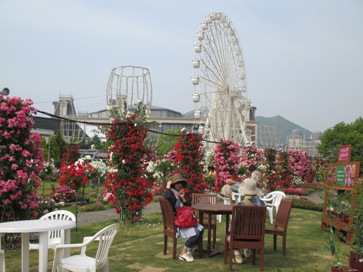 a0098027_1875355.jpg