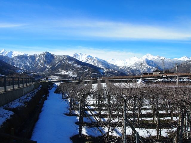 a0157027_12105678.jpg