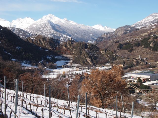 a0157027_12163617.jpg