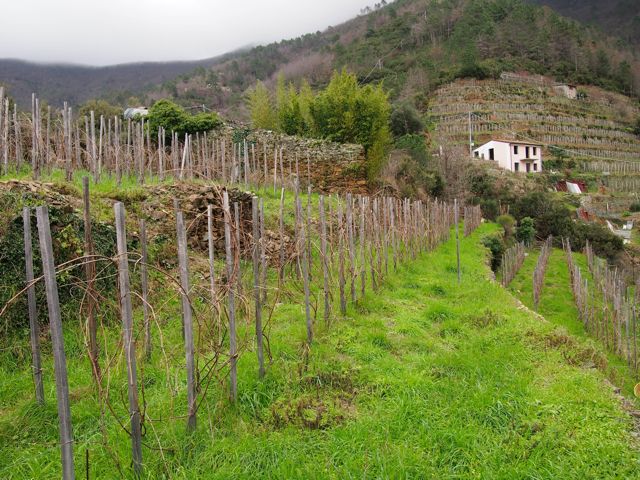 a0157027_1241974.jpg