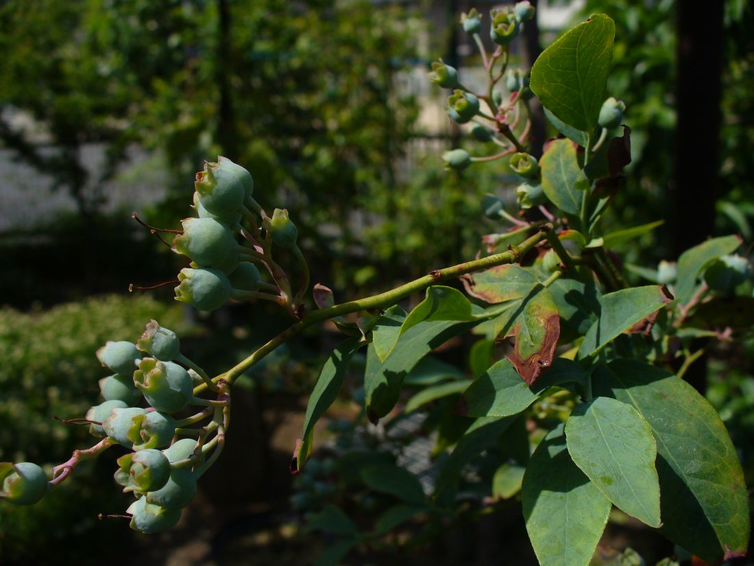 f0346527_237356.jpg