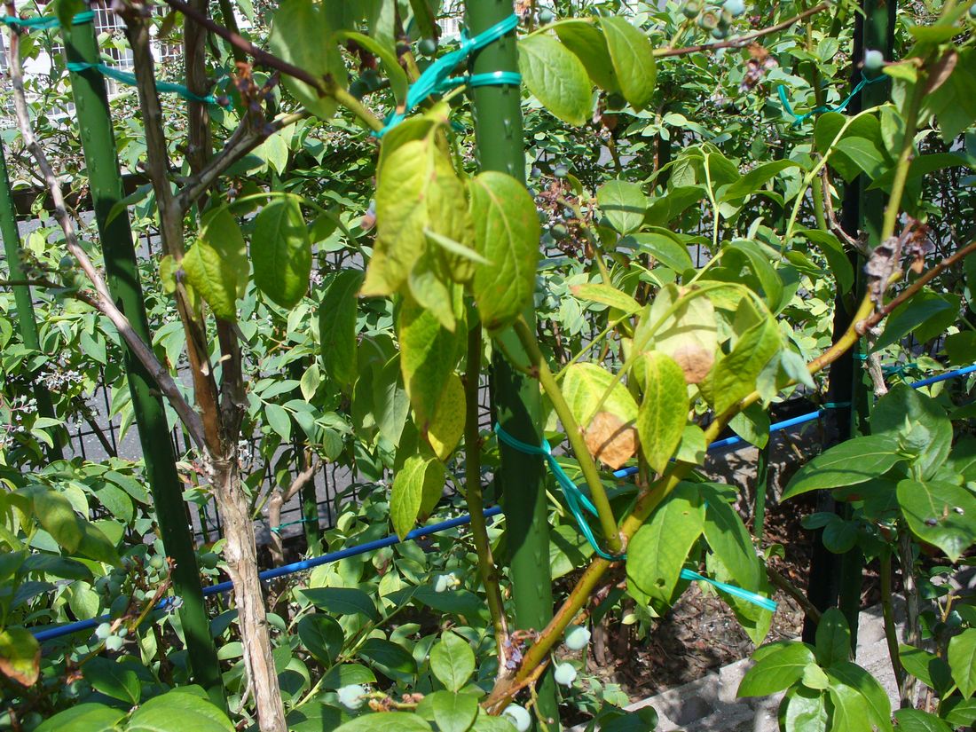 f0346527_2382344.jpg