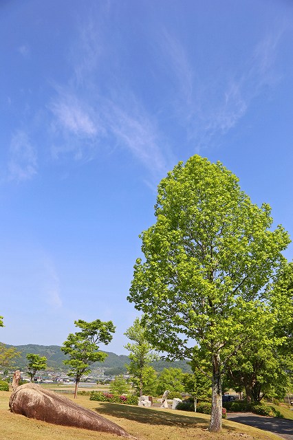 a0242438_1811873.jpg